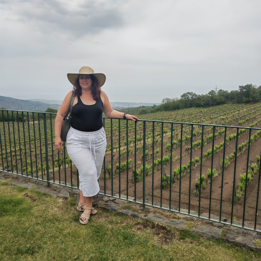 A Taste of Fire and Earth: Wine and Wonder on Mount&nbsp;Etna